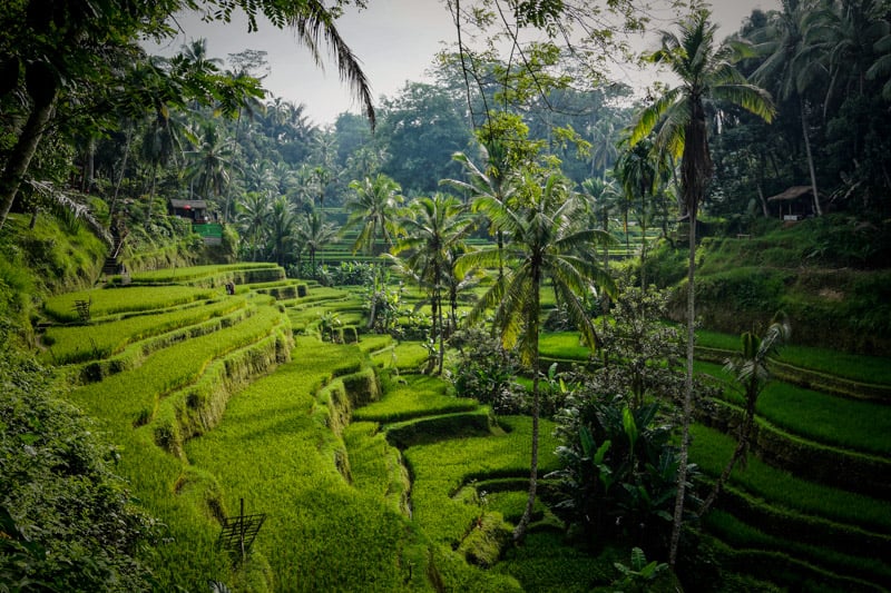 9 Cheapest Islands to Visit Global Viewpoint Guides