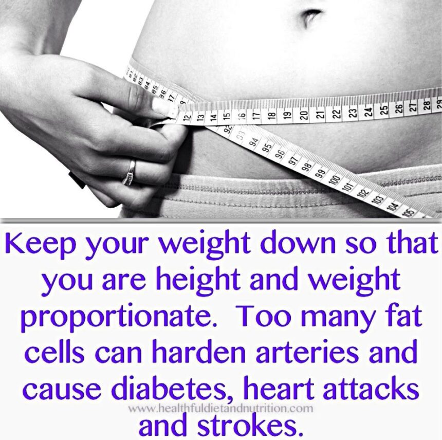 Healthful Diet & Nutrition Discover The Health And Wellness Tips Needed to Maintain Good