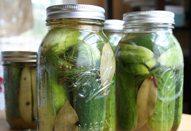 A Simple Recipe for Homemade Natural Fermented Pickles My Humble Kitchen