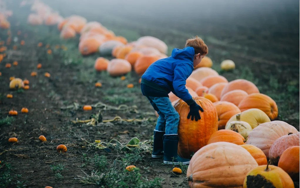Are You Brave Enough? Check Out the UK's Spookiest Halloween Events!