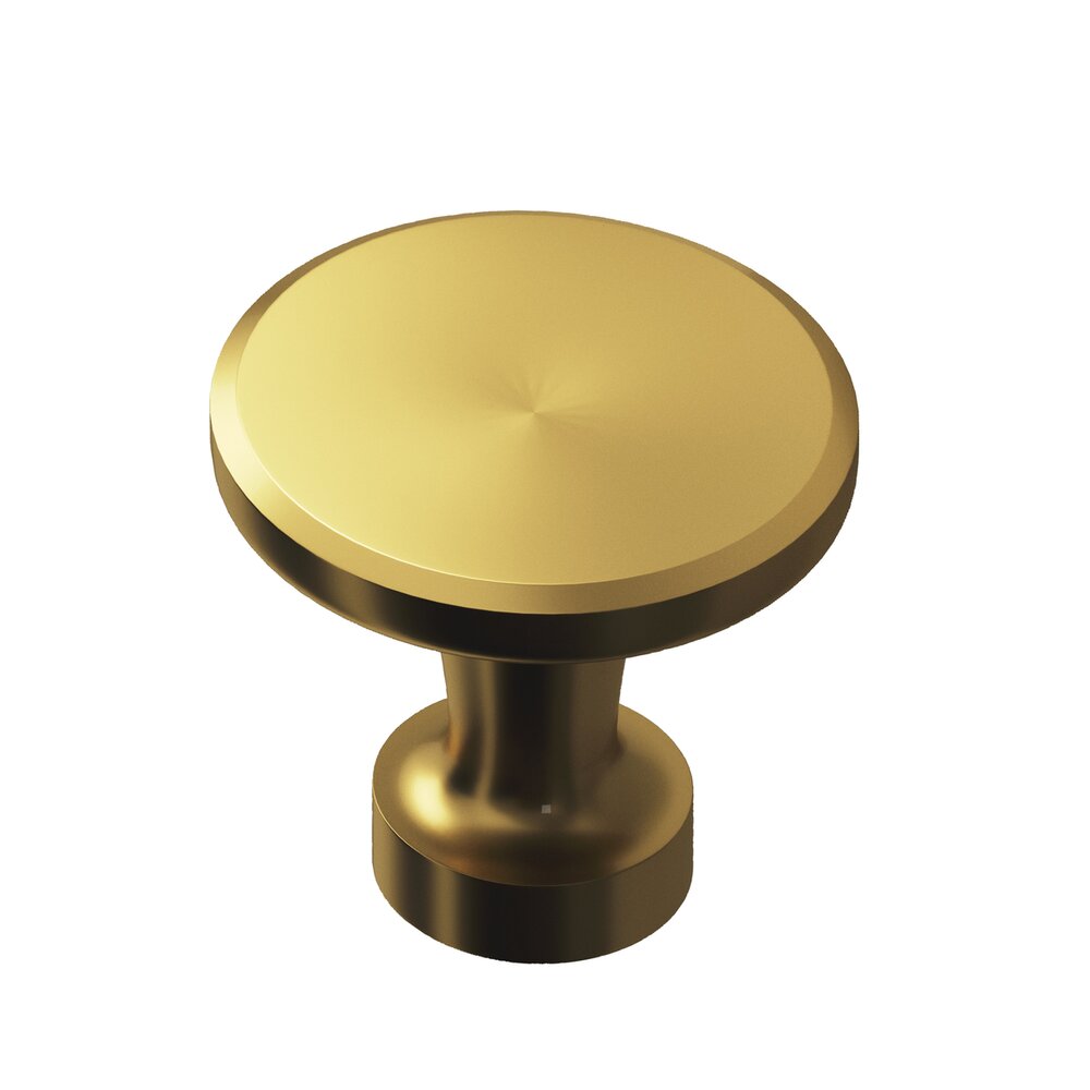 Antimicrobial Agion Knobs Collection 1 3/8" Knob in Satin Brass by