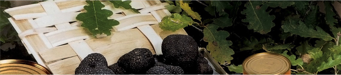Pilze in der Haute Cuisine Mykofarm