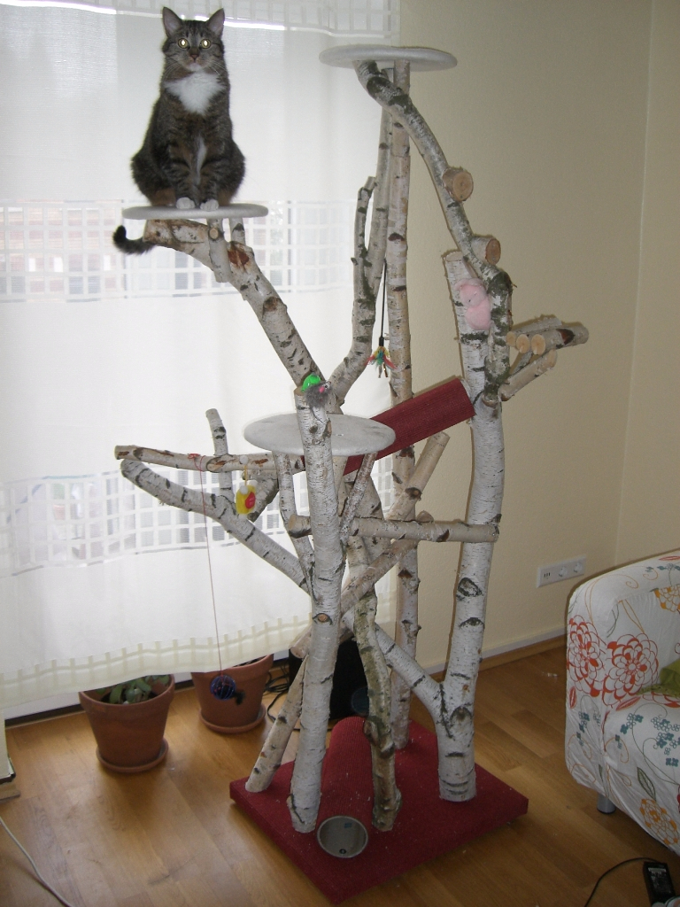 Kratzbaum Natur De