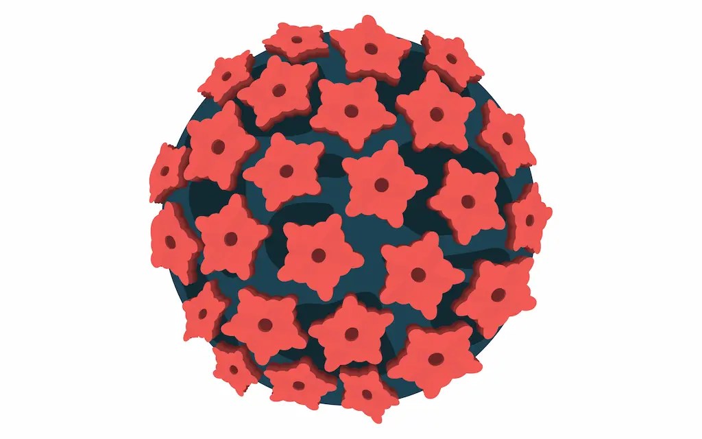 At Home HPV Test Order Your Test Kit Online myLAB Box™