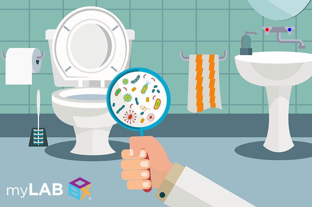 Can You Get Crabs From A Toilet Seat surefootdesigns