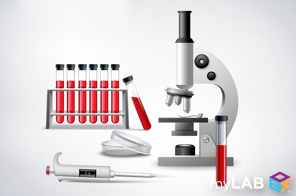 What Is A Heavy Metals Blood Test? Home Test myLAB Box™