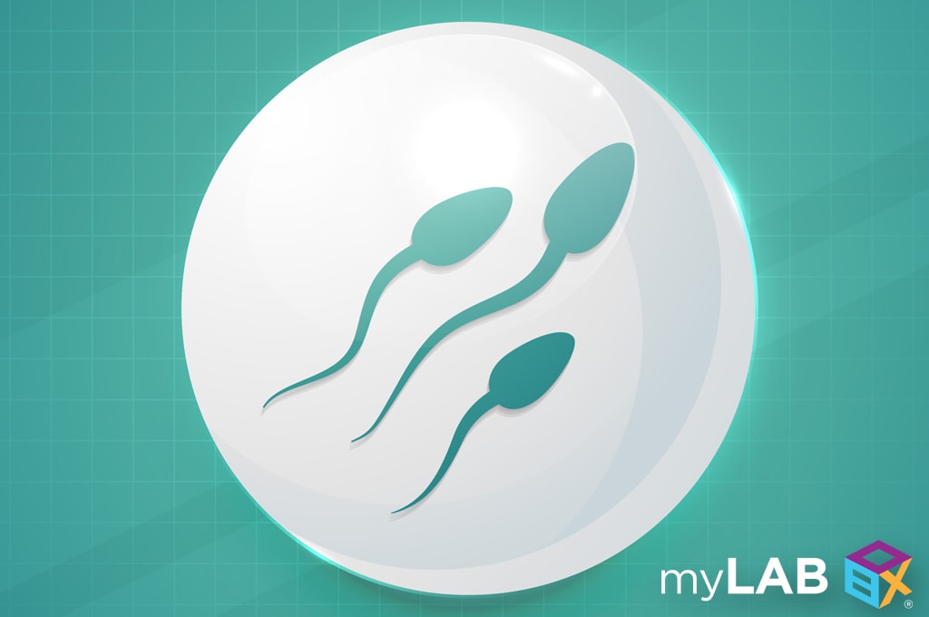 Which STDs Affect Male Fertility? Fast Easy Home Test myLAB Box™