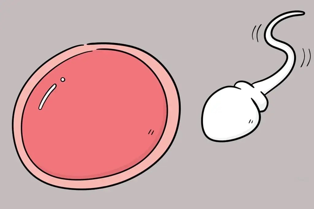 How Can I Check If My Sperm Is Fertile? myLAB Box News and Articles
