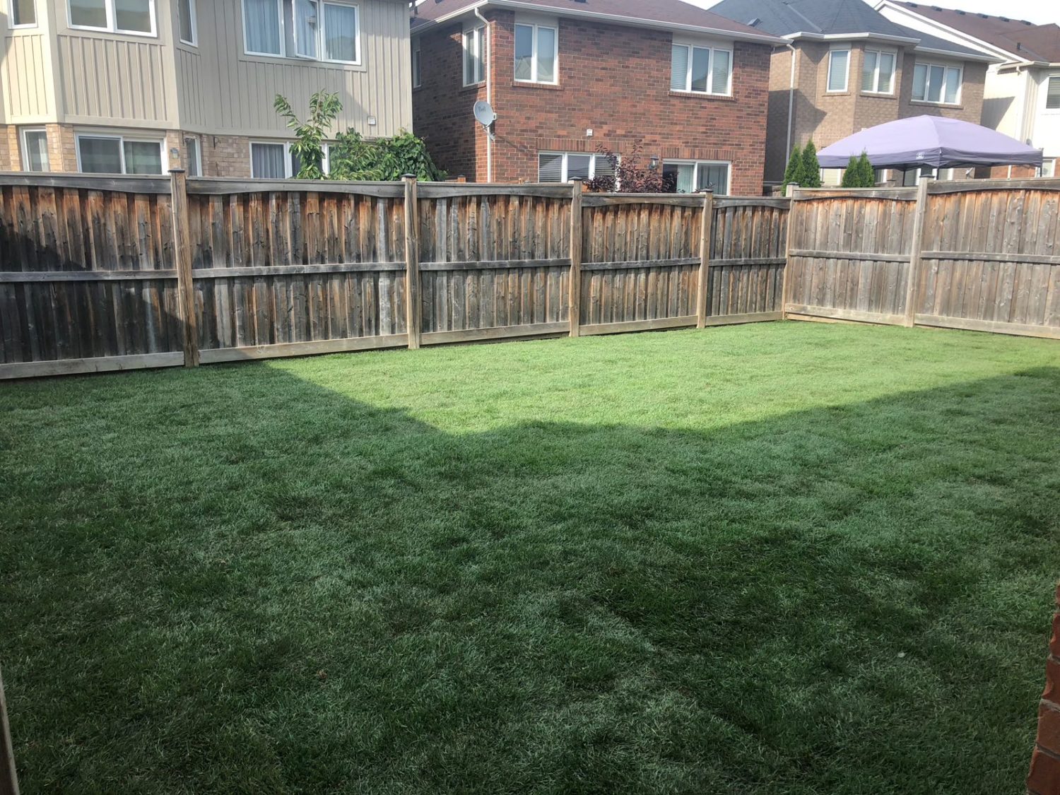 How To Prepare Your Lawn For New Sod Grass Installation My Landscapers