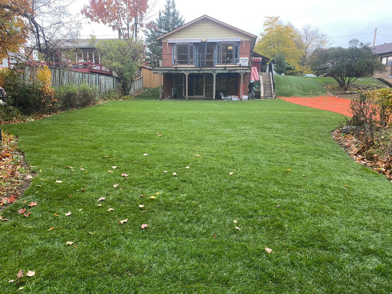 Growing Grass Under Pine Trees My Landscapers