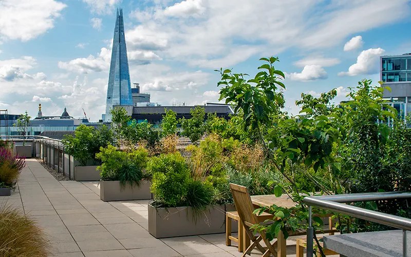 Roof terrace ideas London, design, images & inspo