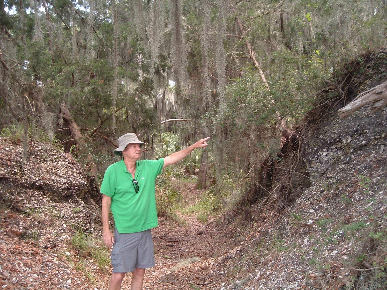 All Day Sapelo Island Tour My Licensed Guide
