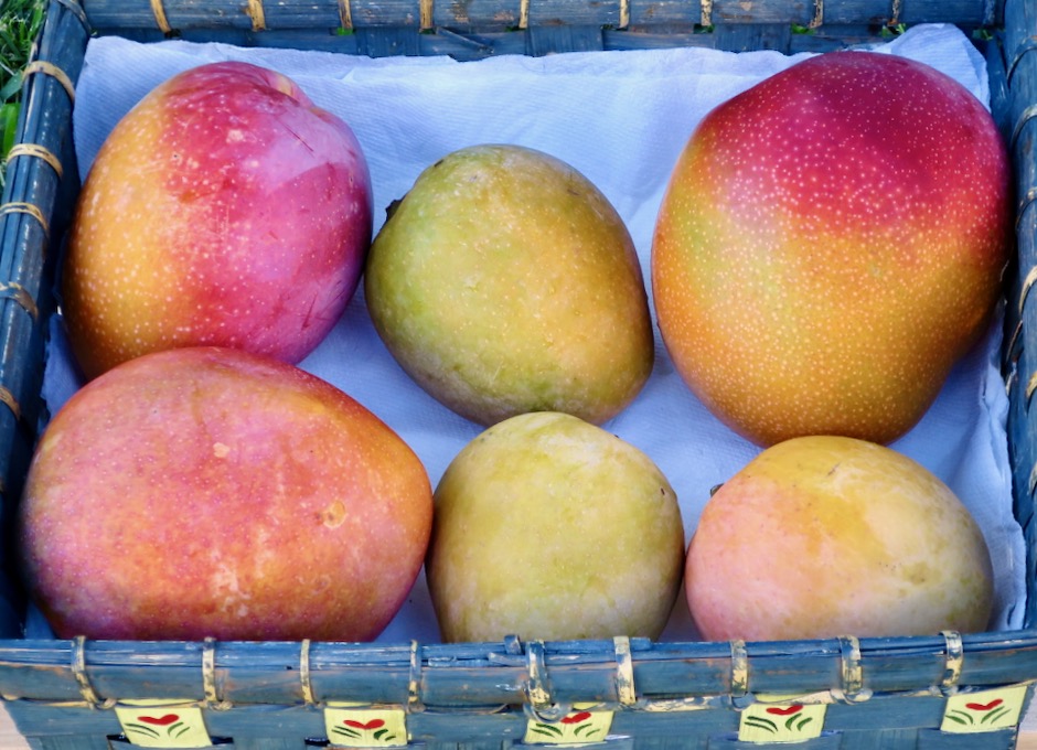 Mango Lilikoi Jam My Lilikoi Kitchen