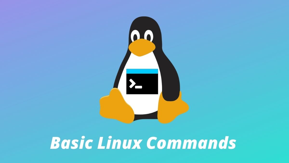 Basic Linux Commands mylinux.work