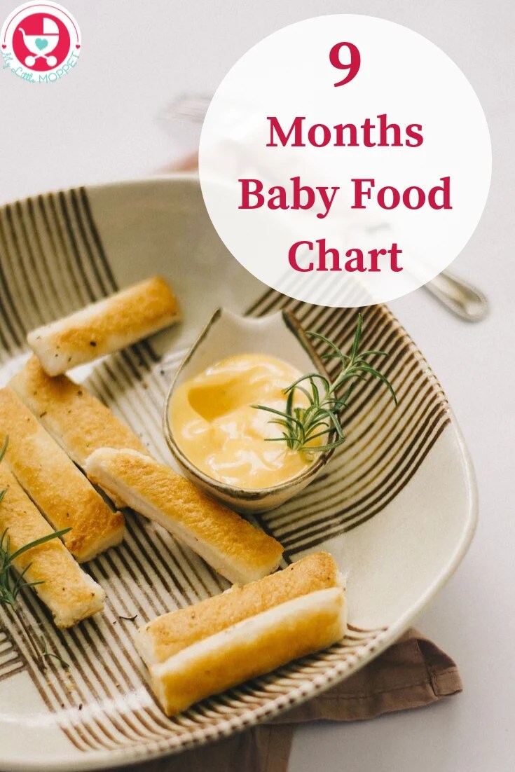 9 Month Baby Food Chart with Indian Recipes Free Recipe Ebook