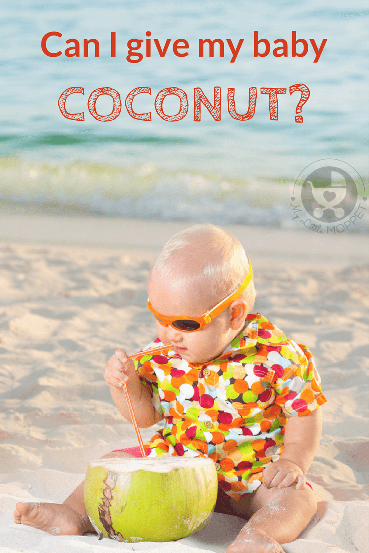 Can I give my Baby Coconut?