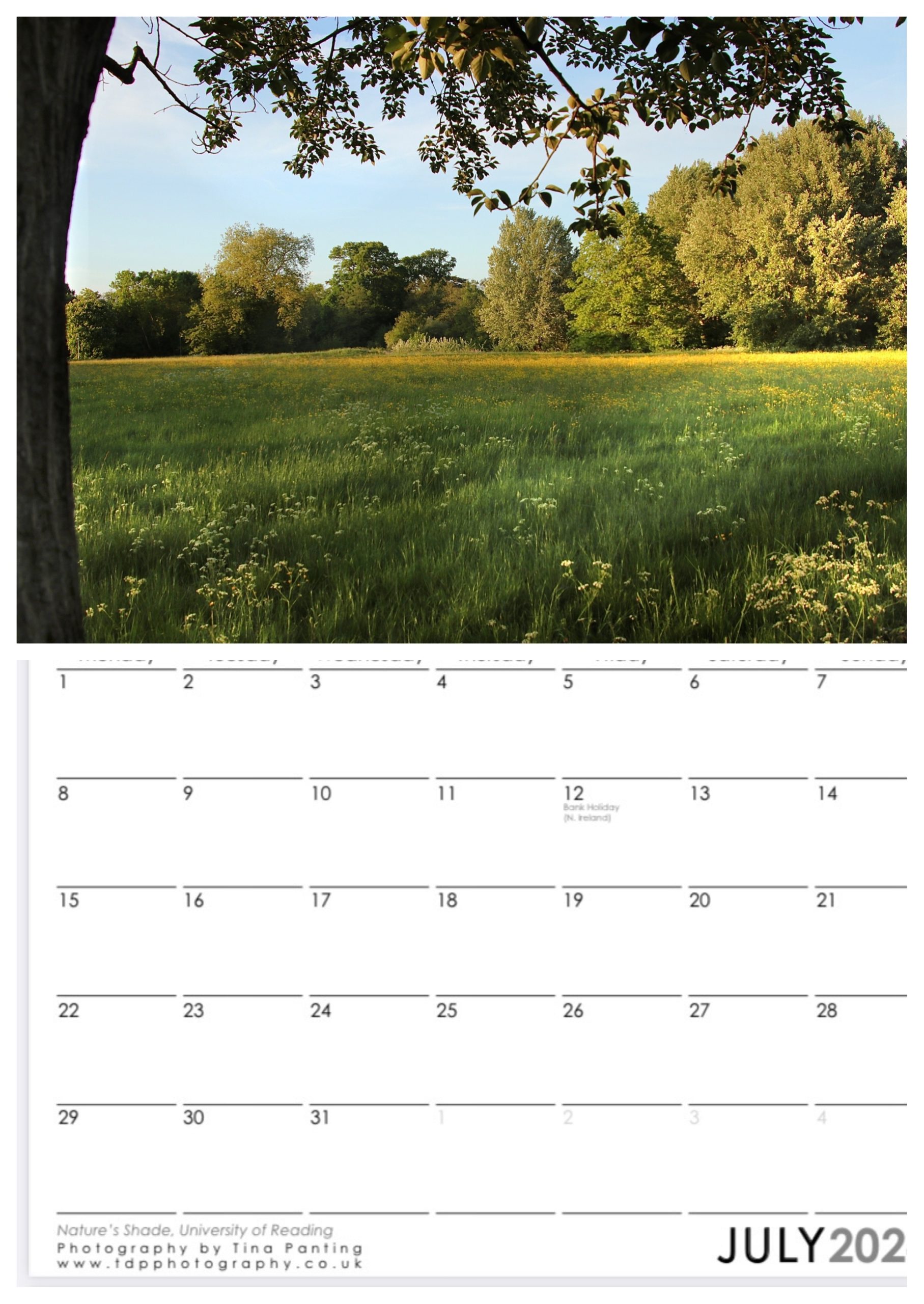 Moods of Trees 2024 Calendar (Berkshire)