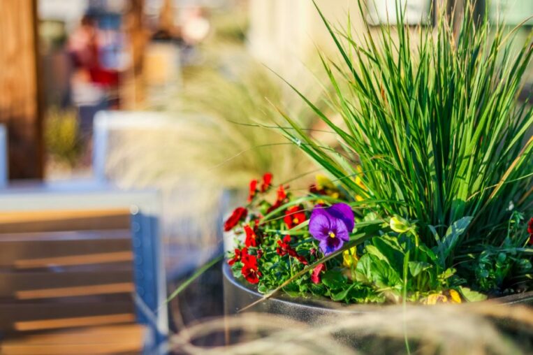 Turn Your Thumbs Green with these Local Garden Centers My Local Utah