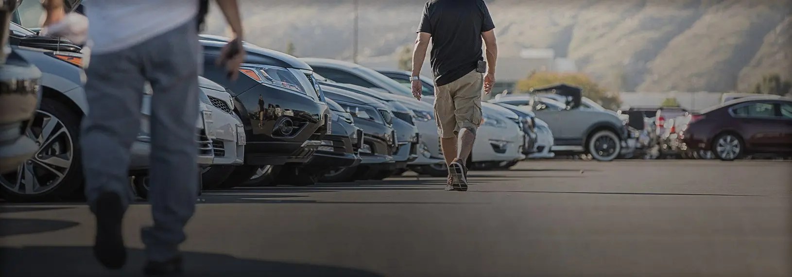 Manheim Orlando Login