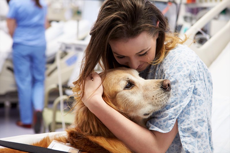 Who can consider pet therapy?