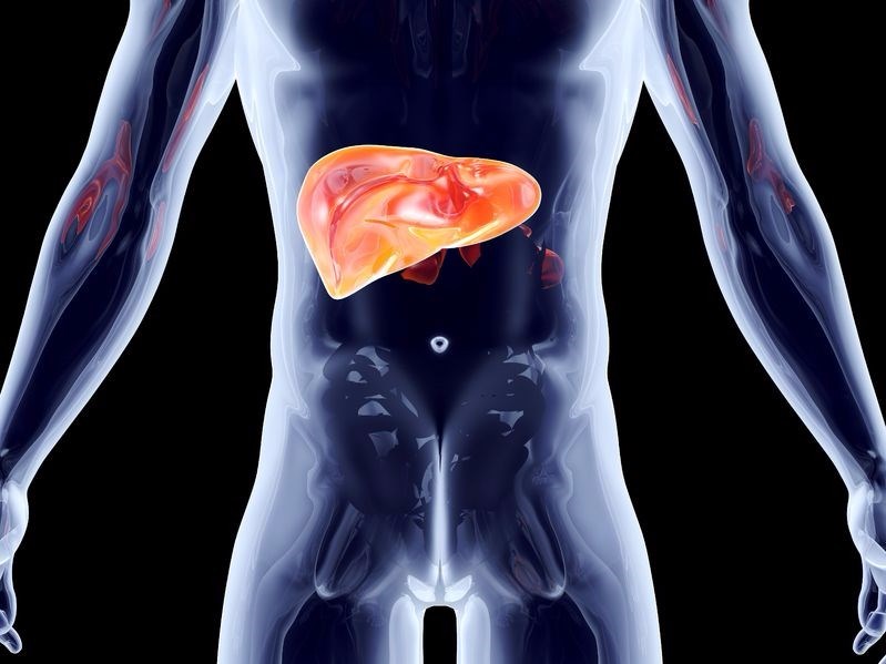 What are the stages of liver disease from initial inflammation to liver