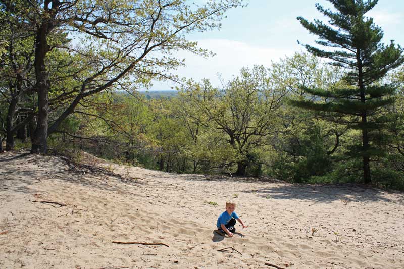 Muskegon State Park Hiking The Scenic Ridge Trail