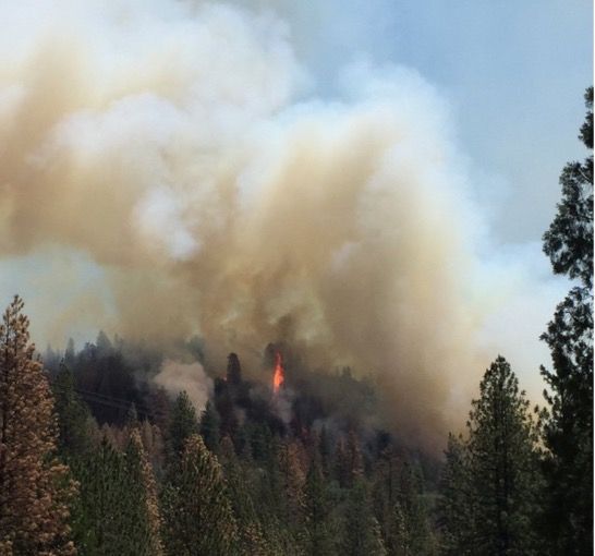 Update Acreage Jumps In Vegetation Fire In Sierra National Forest