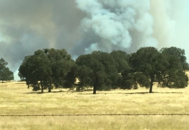 Update Evacuations Lifted For Willow Fire In San Andreas