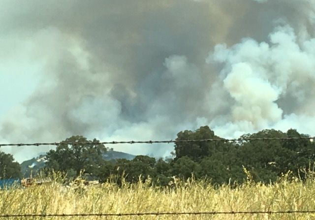 Update Arrest Made For Igniting 450 Acre Willow Fire