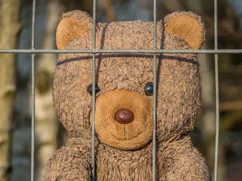 15+ Handy DIY Stuffed Animal Jail Zoo Cage Plans MyMyDIY Inspiring