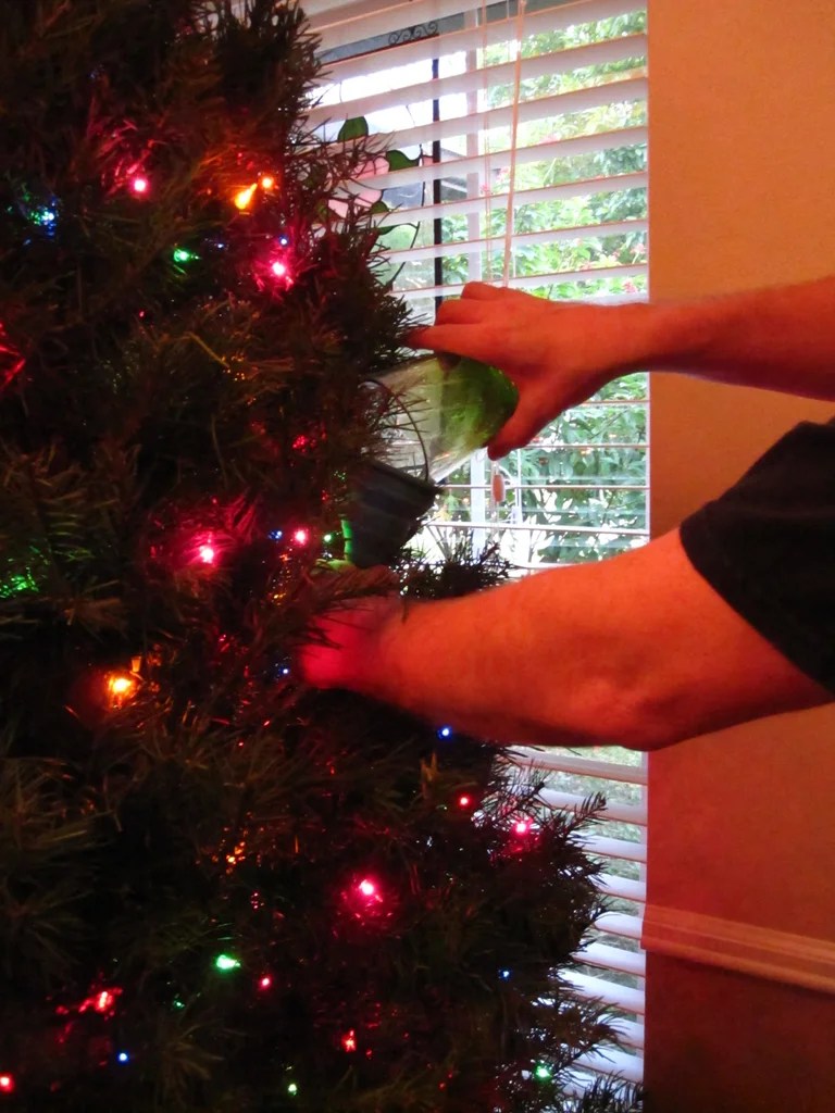 DIY Christmas Tree Watering Systems [7+ Free Plans] MyMyDIY