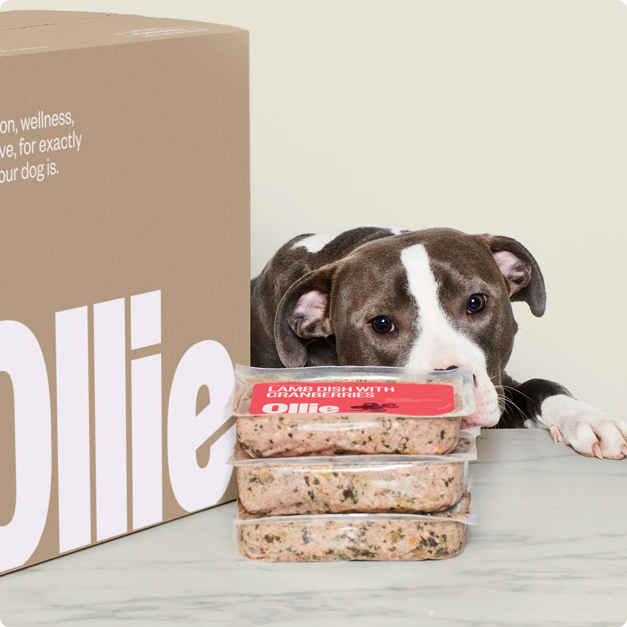 Ollie Fresh Dog Food and Baked Dog Food Ingredients