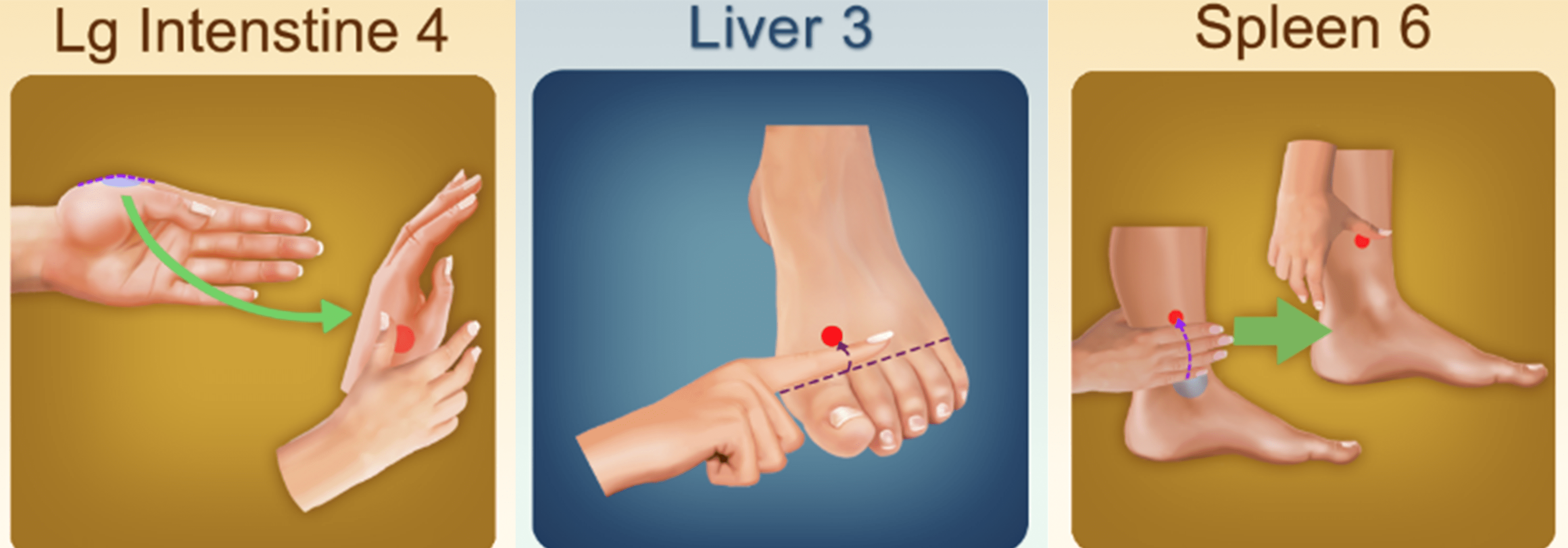 Acupressure Apps Pelvic Plan