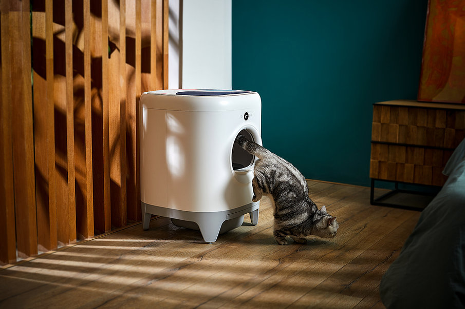 PETKIT PURA X Smart Automated Self Cleaning Cat Litter Box AU Stock