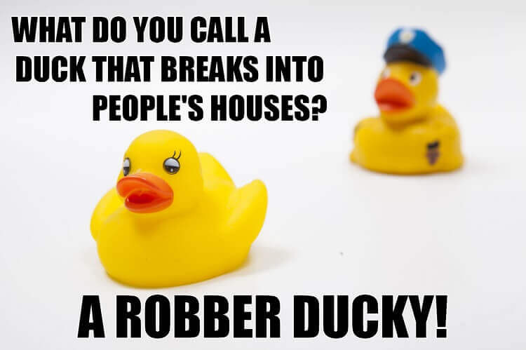 75 Nest Level Duck Puns and Jokes to Quack You Up My Pet's Name