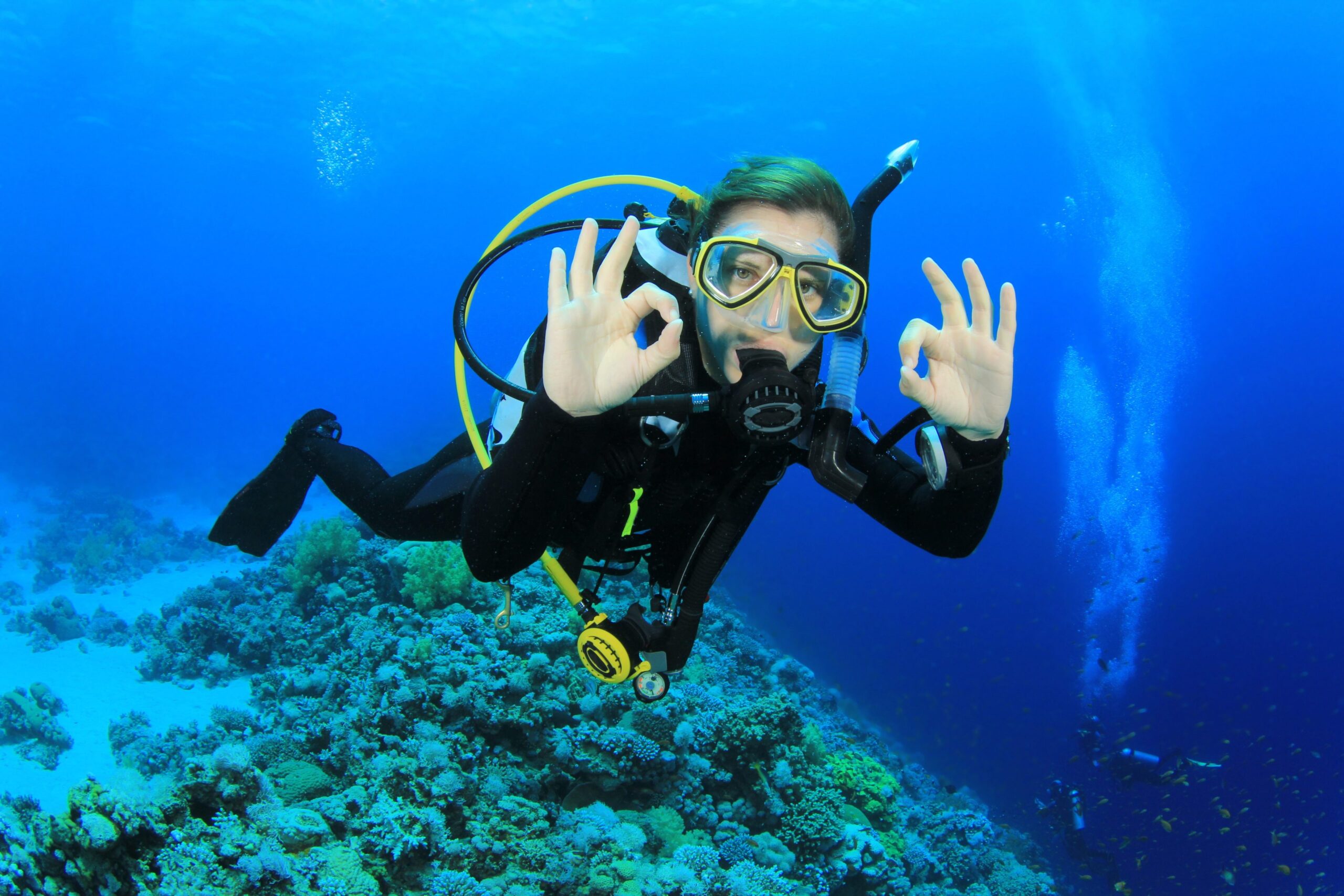PADI Scuba Diving Rankings and What They Mean My Press Plus
