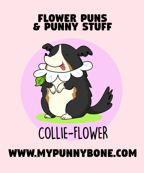 100+ Funny Flower Puns That Make You Bloom With Laughter MyPunnyBone