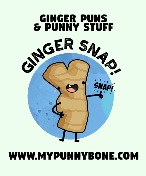 60+ Funny Ginger Puns And Jokes To Spice Up Your Day MyPunnyBone