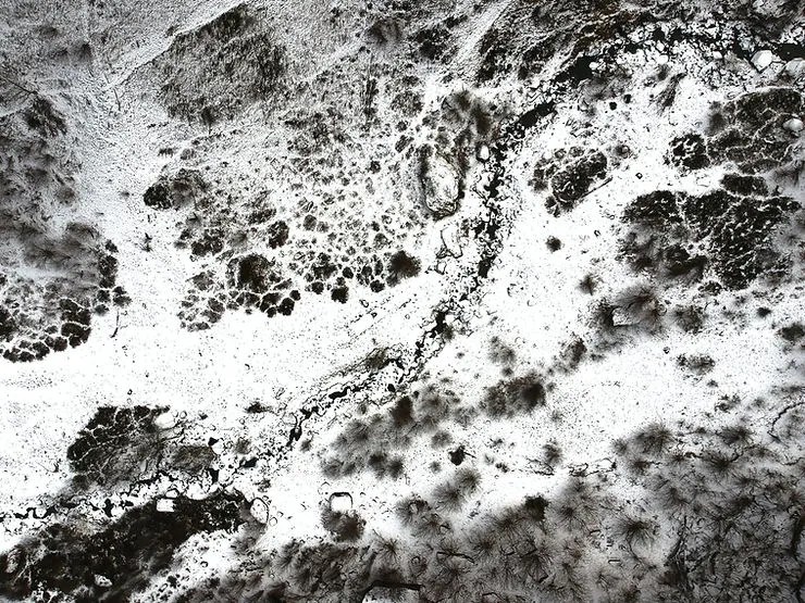 How Does Mold Start Growing Indoors? My Pure Environment