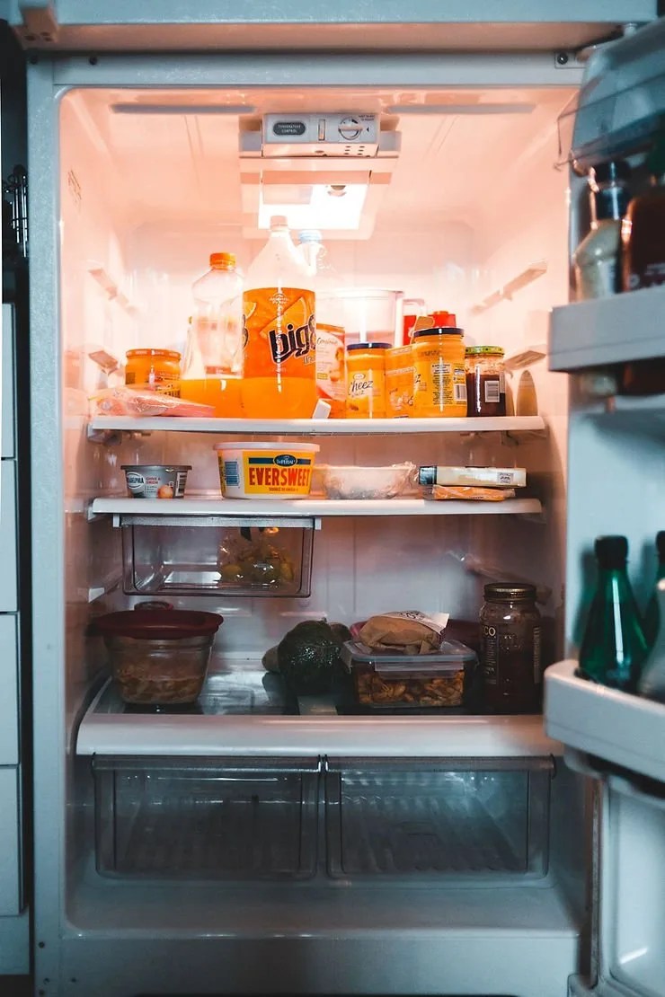 Can Mold Grow in Your Refrigerator? My Pure Environment