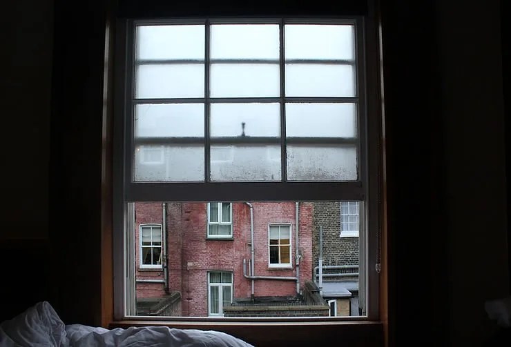 How Does Temperature Affect Mold Growth? My Pure Environment