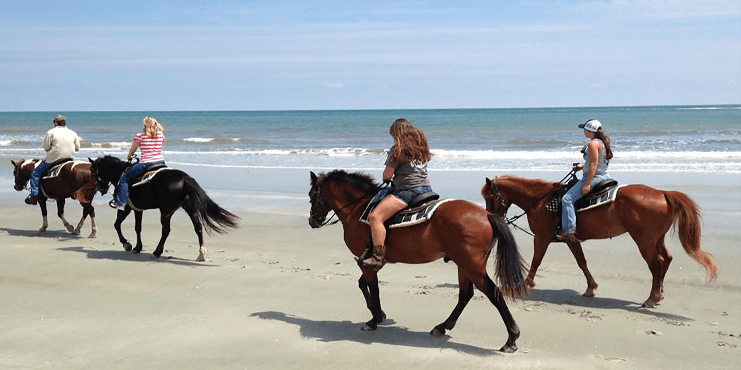 Inlet Point Plantation Attractions