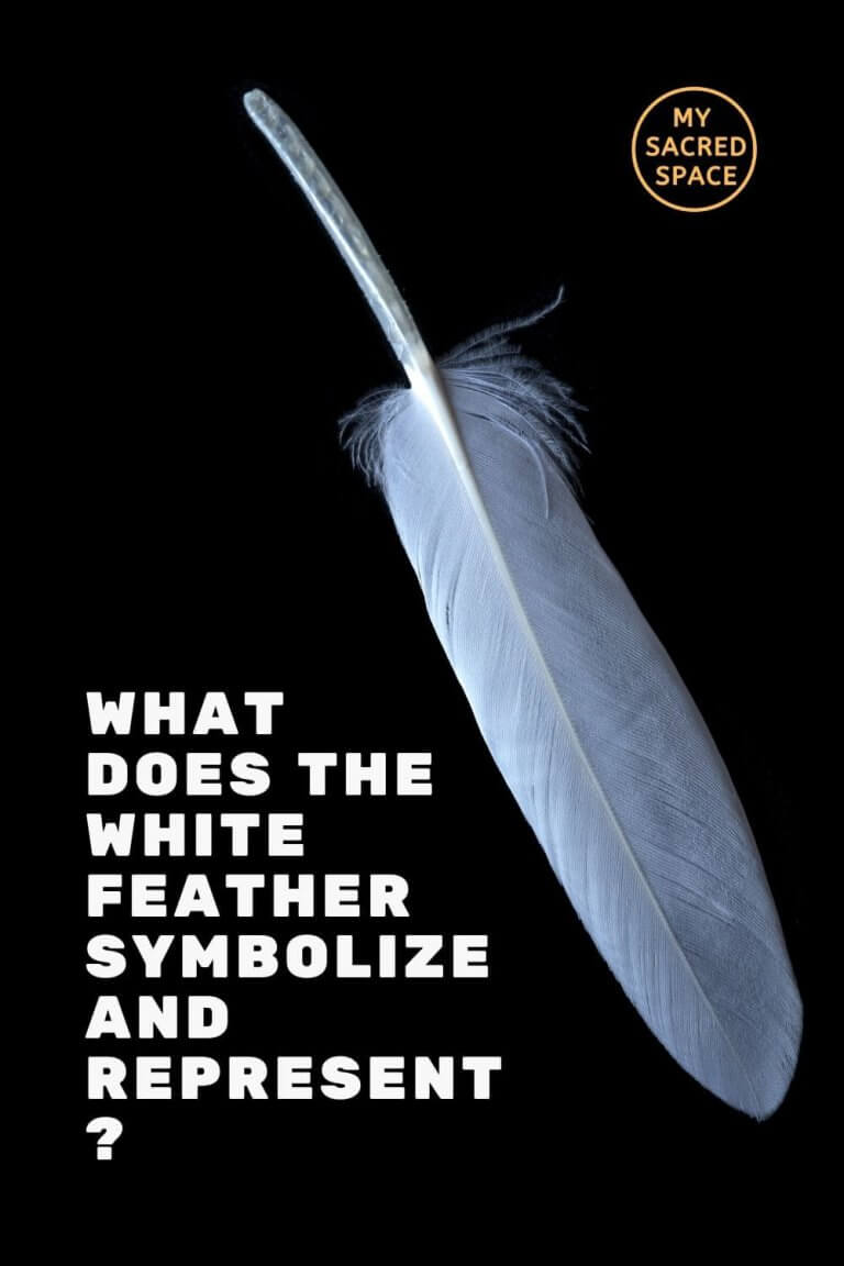 What Do Colored Feathers and Different Feathers Symbolize? My Sacred