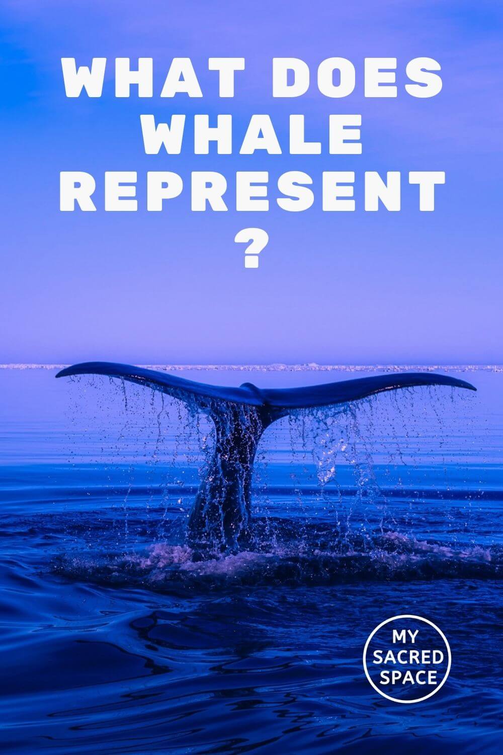 What Does a Whale Spirit Animal Mean and Symbolize? My Sacred Space