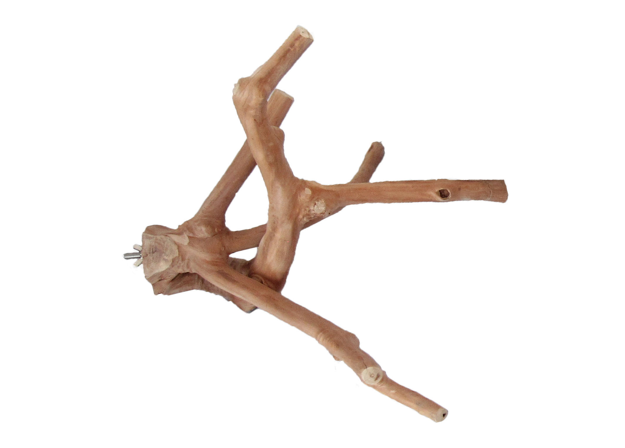 JW11173 Java Wood MultiBranch Med. Bolton Natural Perch NATURAL