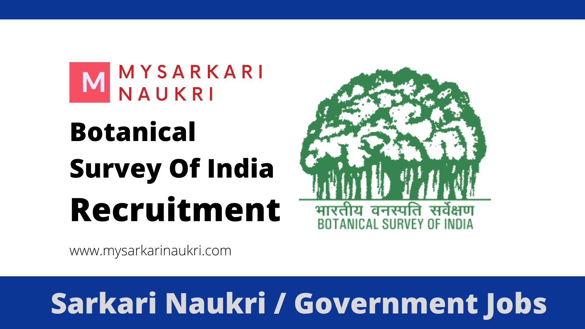 Botanical Survey Of India Recruitment 2022 bsi.gov.in BSI Jobs