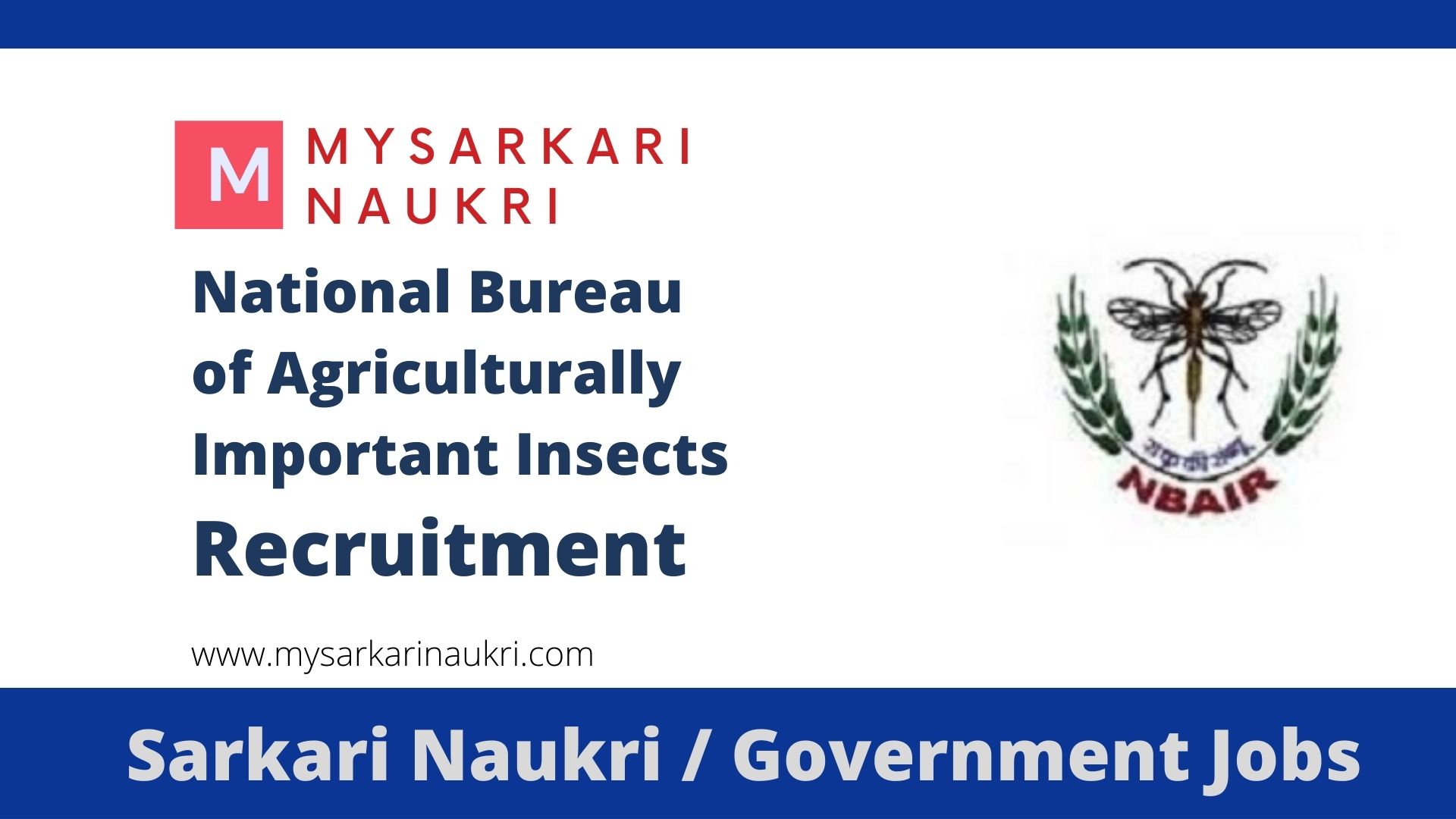 NBAIR Recruitment 2024 For Young ProfessionalII