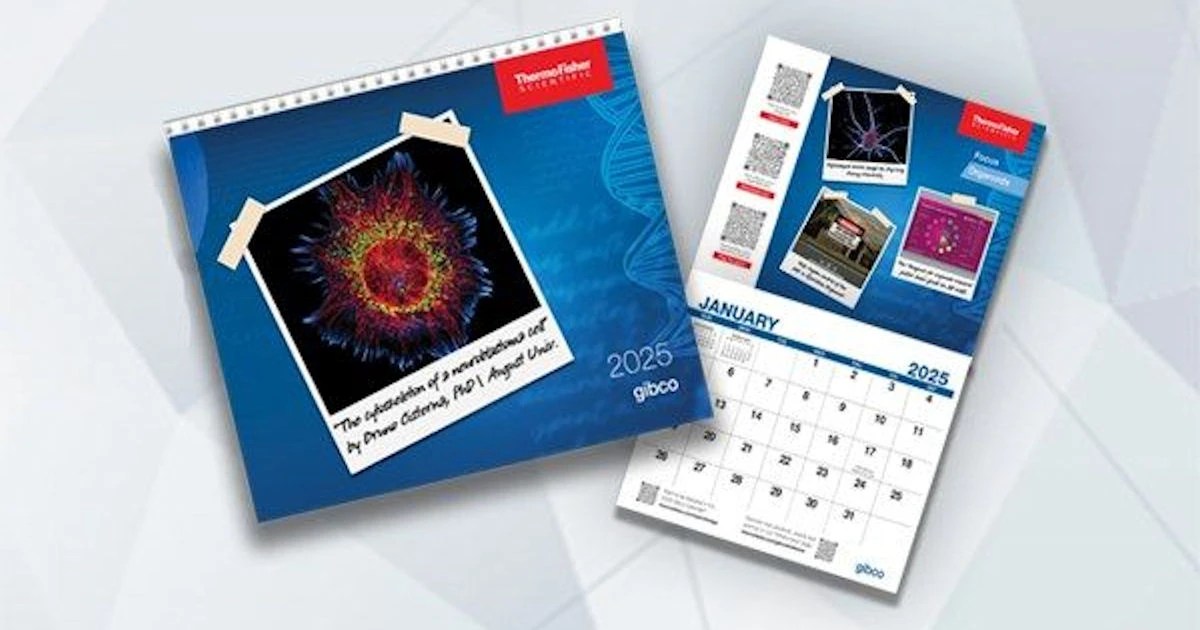 Free 2025 Gibco Calendar