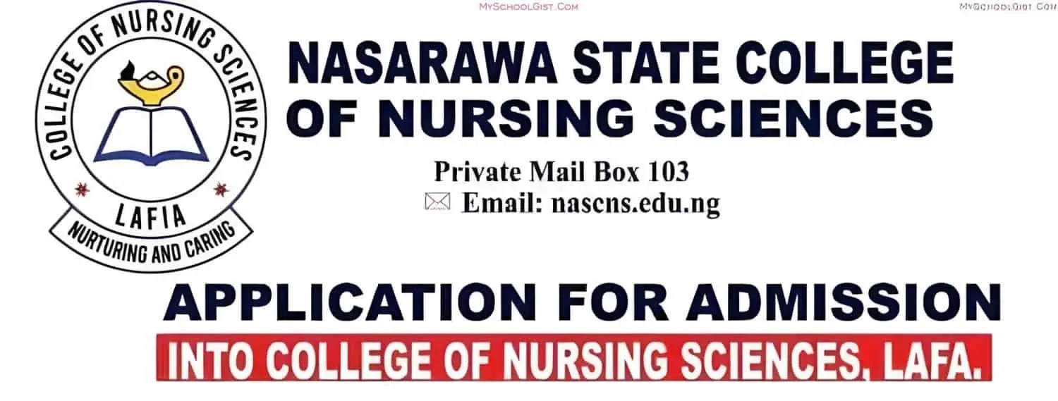 School Of Nursing Form 2023 2024 Printable Forms Free Online