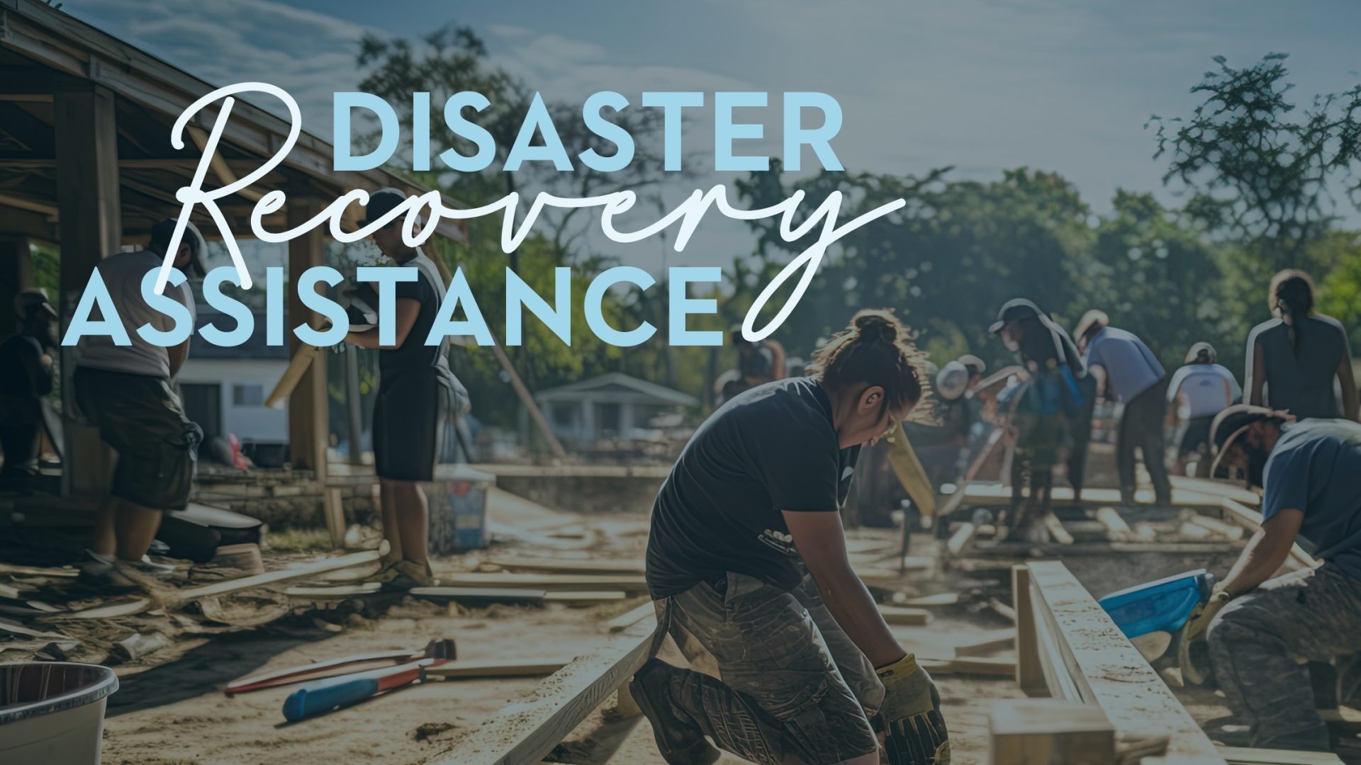 Disaster Recovery Assistance The Servion Group